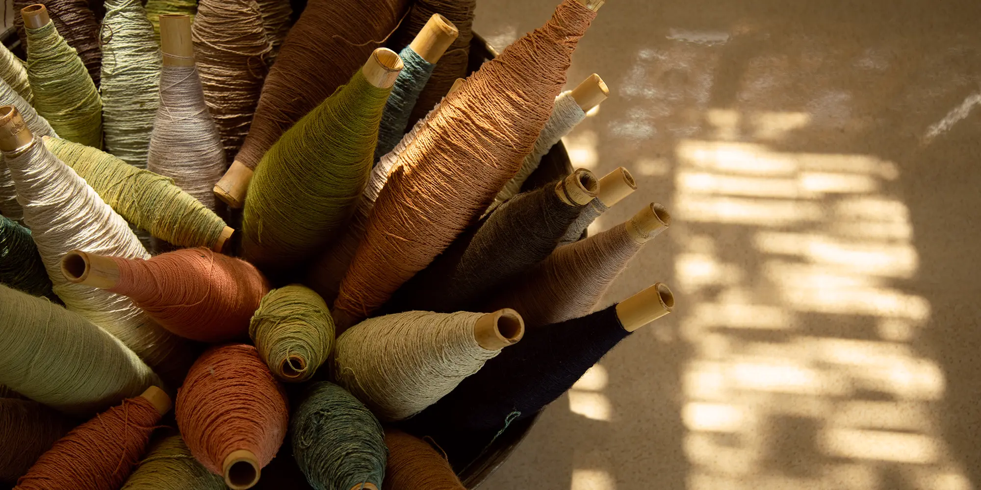 header_11.webp